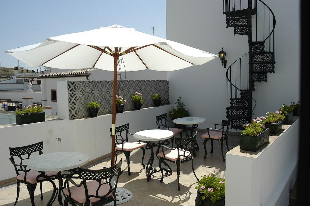 Olivos Arcos de la Frontera