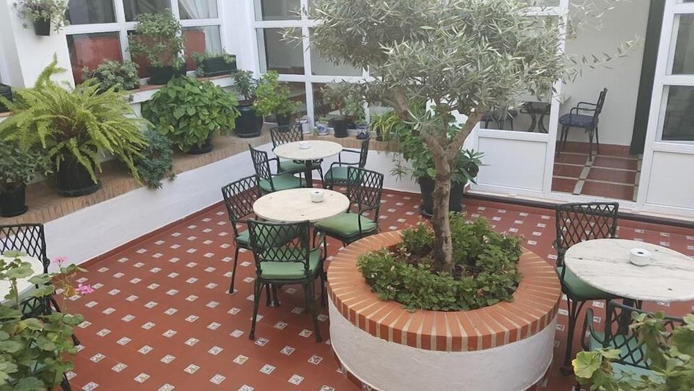 Hotel Olivos 3*