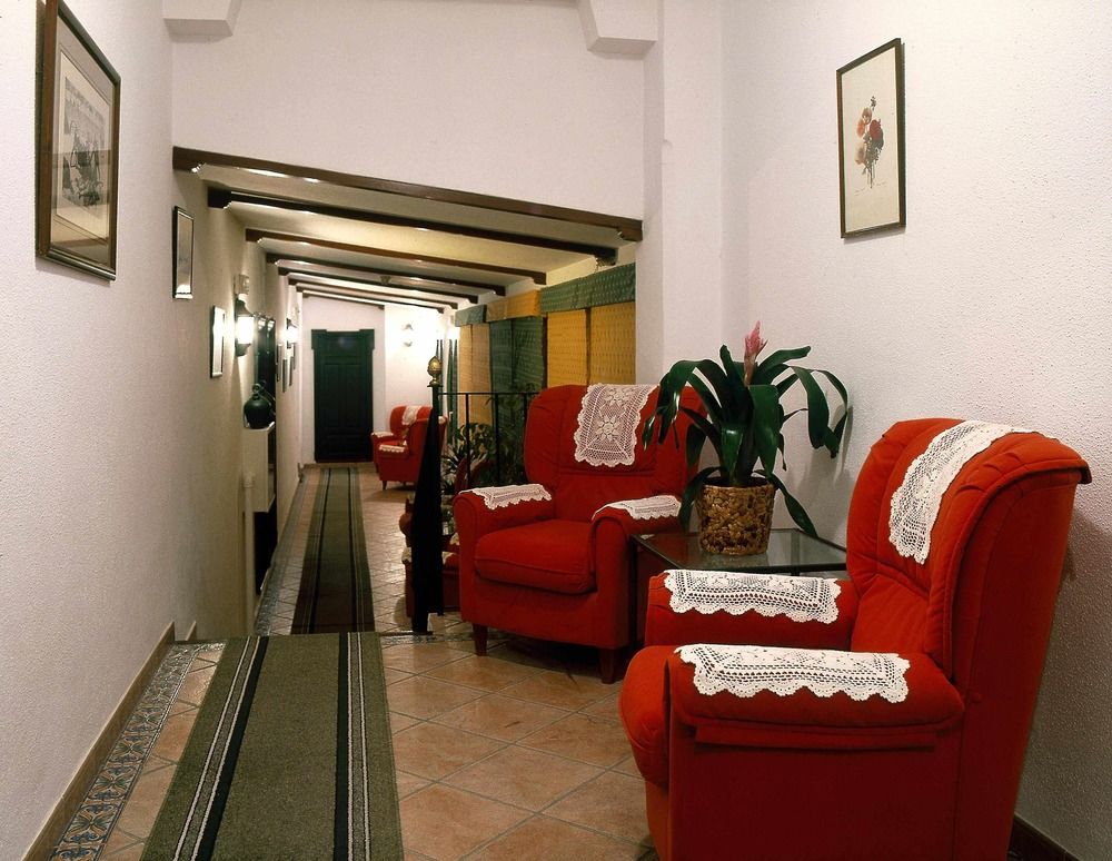 Olivos Arcos de la Frontera