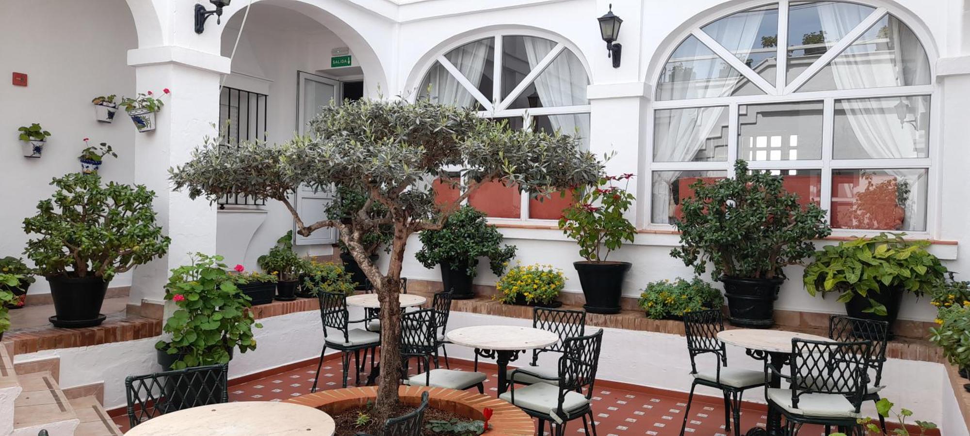 Olivos 3* Arcos de la Frontera