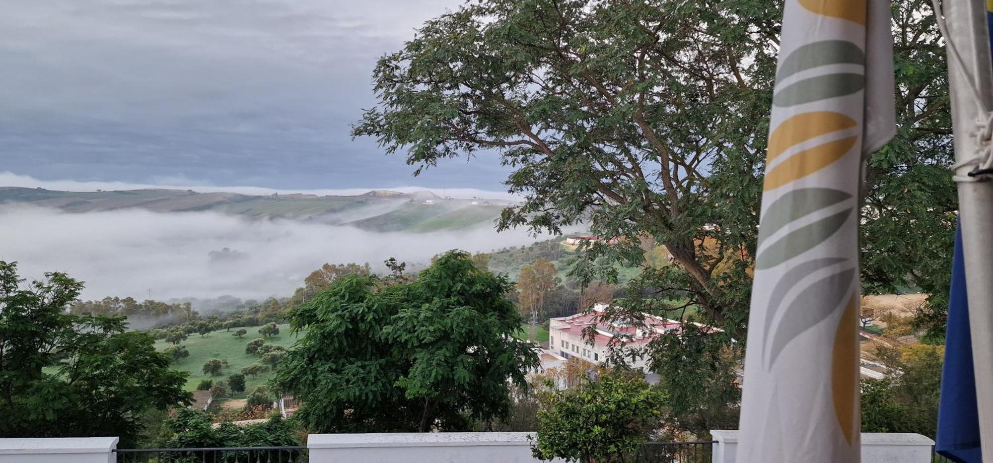 Olivos
