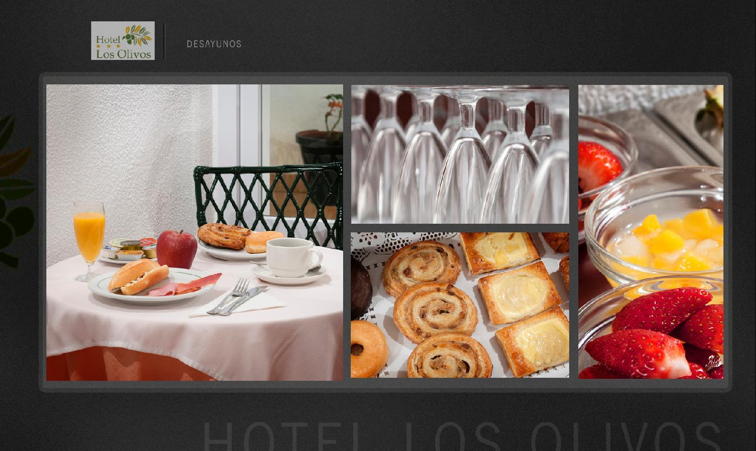 Hotel Olivos 3*